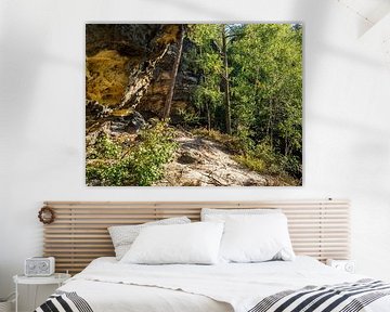 Pechofenstein, Saksisch Zwitserland - rotsterras en rotswand van Pixelwerk