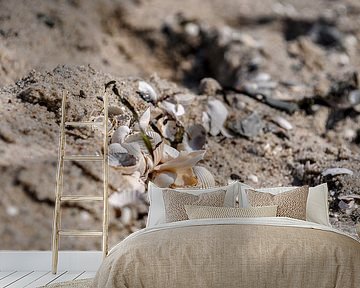 Muscheln und Seetang, Nahaufnahme