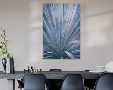 Yucca botanische macro print zilver blauw | Natuur fotografie van Denise Tiggelman