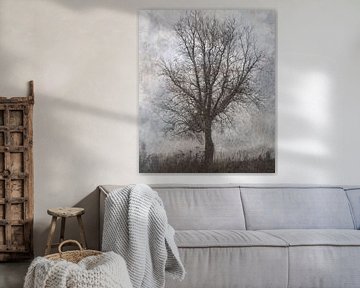 Arbre d'hiver sur Esther Wijntje