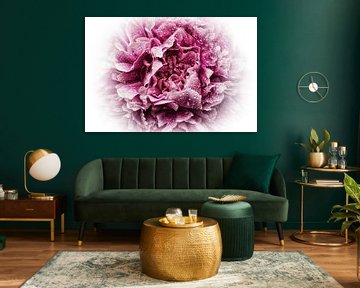 Peony Portrait von marlika art