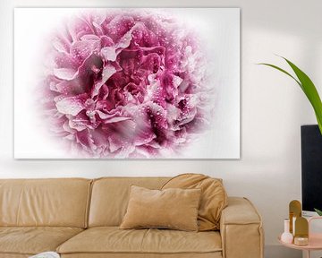 Vanishing Peony by marlika art