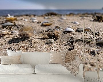 Krebs und Muscheln am Strand in Zudar