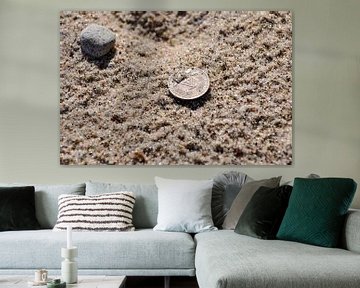 Pièce de monnaie de RDA dans le sable sur GH Foto & Artdesign