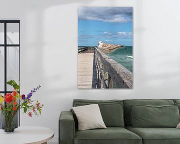 Seagull on the old pier in Zingst (Fischland / Darß) by t.ART