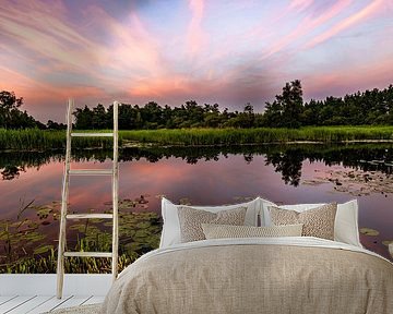 Colorful sunset by the water by Dafne Vos