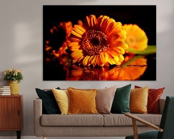 Drie gerbera's by Linda Jacobs