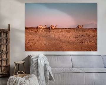 Camels in the desert van May Leigh De Lima