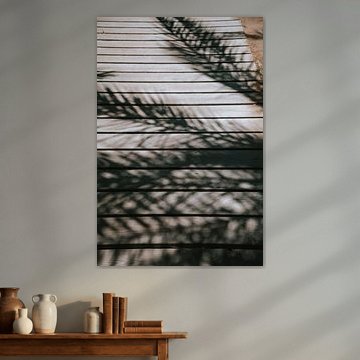 Palm shadows in Egypt