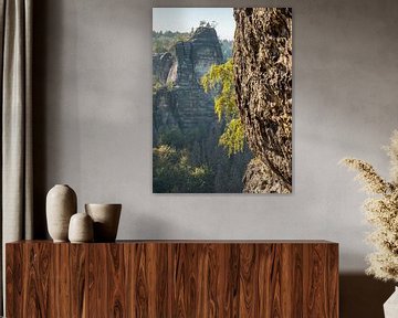 Bärenhorn terrace, Saxon Switzerland - Heringstein by Pixelwerk