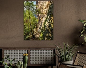 Königsweg, Saxon Switzerland - Rock face at Kleines Bärenhorn by Pixelwerk