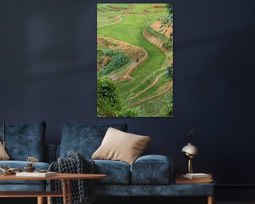 Little boy in the ricefield by Jordy Blokland