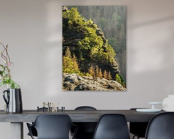 Großes Bärenhorn, Saxon Switzerland - Rock face and Försters Loch by Pixelwerk