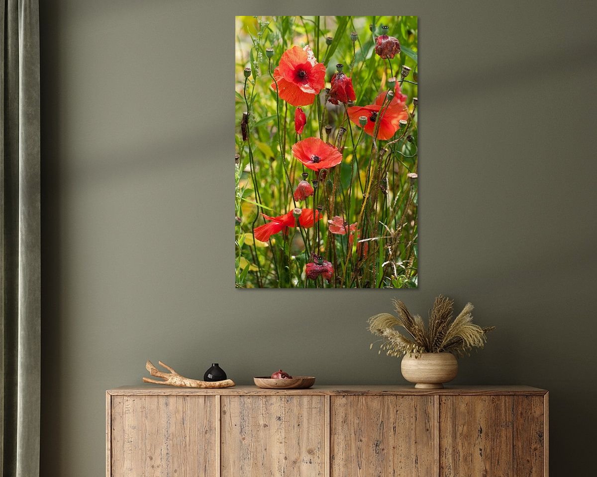 Raumvorschau