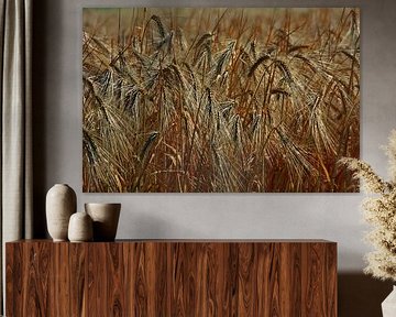 Mature cereals
