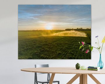 Potatoes in a field with blossoming green plants during sunset by Sjoerd van der Wal Photography