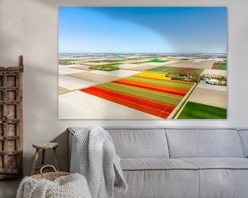 Tulpen in landbouwvelden van bovenaf gezien van Sjoerd van der Wal Fotografie