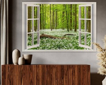 View through the window into the spring forest by Thomas Herzog
