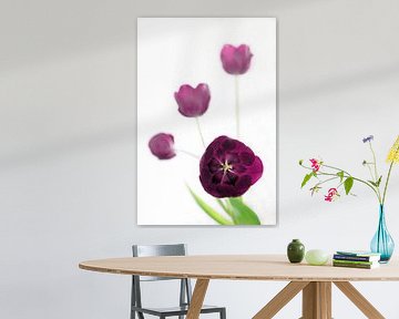 Tulpen van 28Art - Yorda