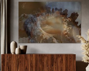 Rock of shells by Art by Janine