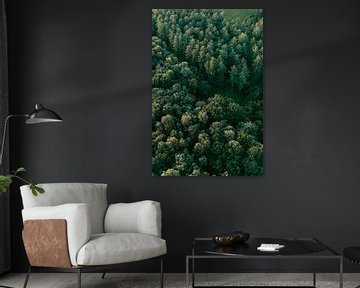 Luchtfoto van mooi groen bos in Limburg, Nederland van Studio Rood