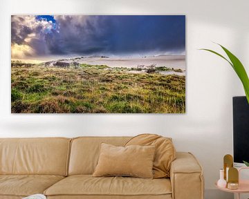 Dune landscape near Bergen aan Zee by eric van der eijk