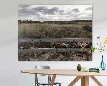 Dune landscape Oostkapelle