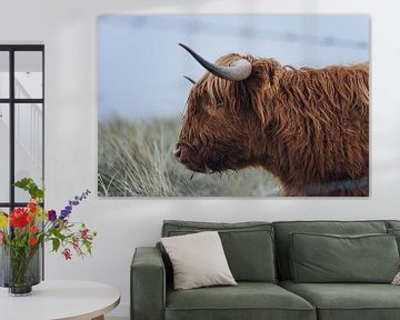 Highland Beef Portret van Fabian Elsing