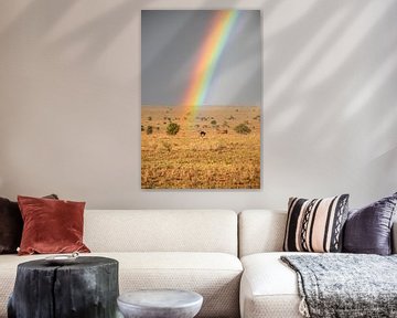 Regenbogen in Afrika mit Vogelstrauß von Fotos by Jan Wehnert