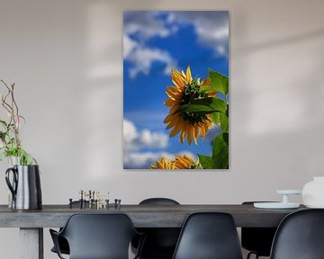 Zonnebloemen met bewolkte hemel van Thomas Jäger