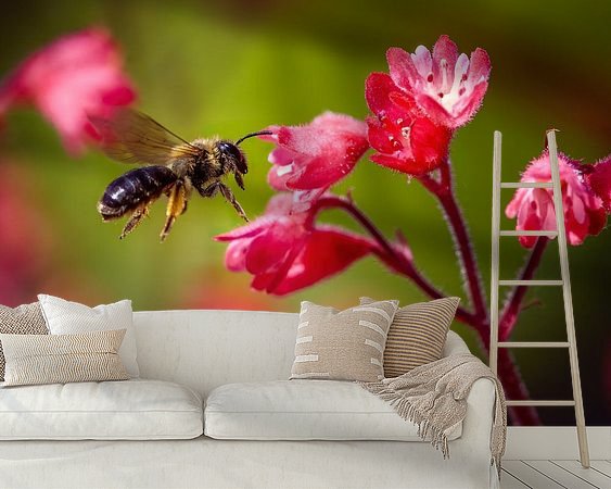 Raumvorschau