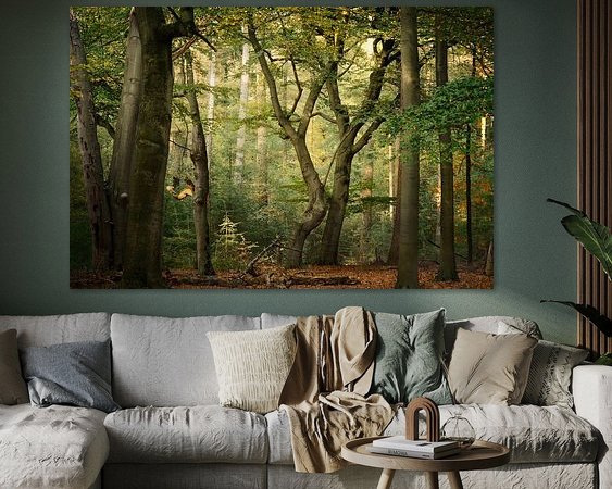 Aperçu de la chambre