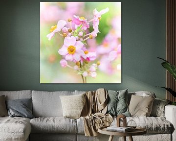 Close-up of pink flowers by Jenco van Zalk