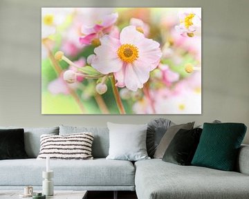 Süße rosa Sommerblume von Jenco van Zalk