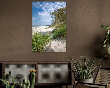 Darß - West Beach, Baltic Sea (Mecklenburg-Western Pomerania) by t.ART