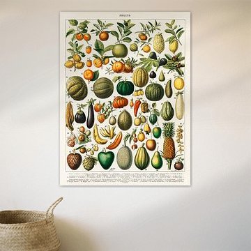 Grande variété de fruits et légumes (1898)