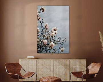 Roze Magnolia Bloessem en blauwe lucht van AIM52 Shop