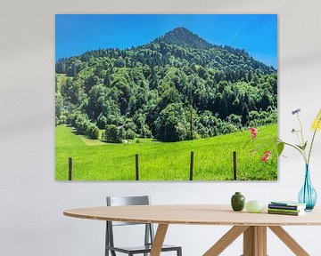 BAVARIA : Bavarian landscapes