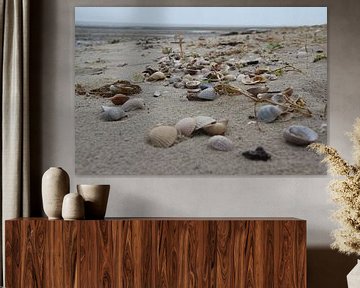 Schelpen op het strand van Texel van Eibert van de Glind