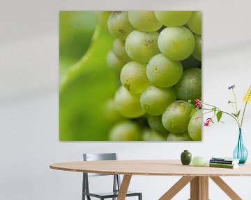 Groene verleiding. Deze sappige druiven in Duitsland groeiende in de Moesel worden later vast een le van noeky1980 photography