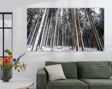 Weiße Bäume Ardennen von Sonny Vermeer