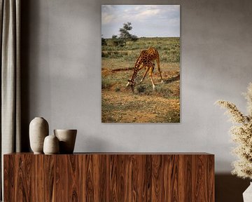 Water drinkende giraffe in de Serengeti van Niels pothof