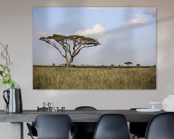 Serengeti betekent eindeloze grasvelden. van Niels pothof
