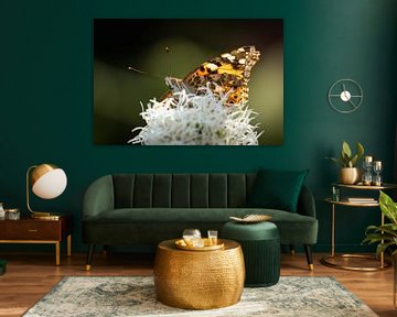 Thistle butterfly on Lampshade by Bianca Onderweg
