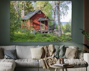 Verlaten huis in de natuur van Anton van Hoek