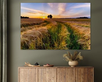 Een graanveld in Drenthe van Jolien fotografeert