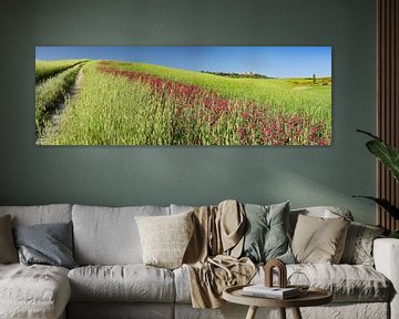 Paysage près de Pienza, Val d'Orcia, Toscane sur Walter G. Allgöwer