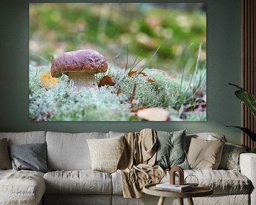 Porcini paddestoel in het bos op een mooie dag in de herfst van Heiko Kueverling