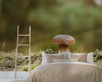 Porcini paddestoel in het bos op een mooie dag in de herfst van Heiko Kueverling
