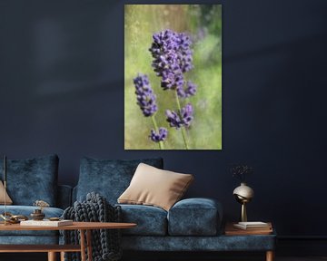 Lavendel arens van Art by Janine